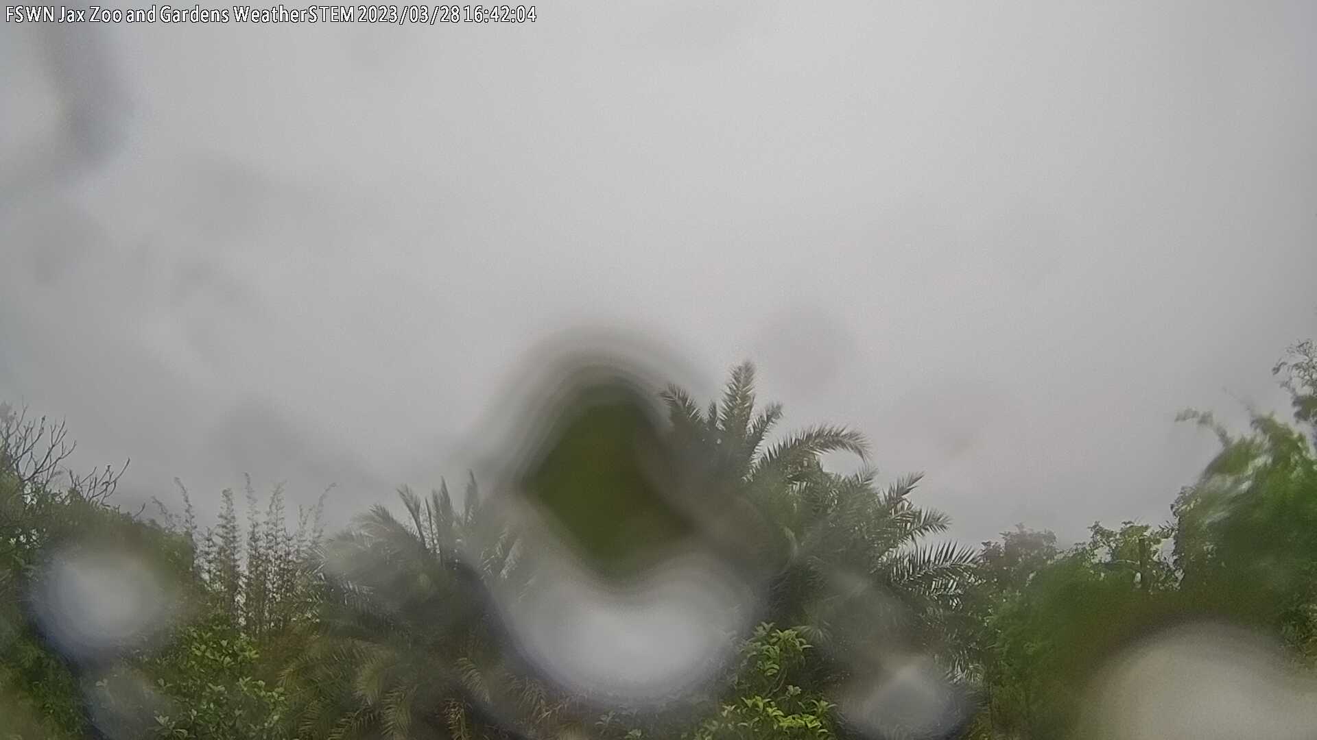 Are You Screaming Outside as Ksat Weather Rips Through the Region?